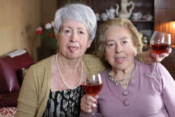 赤ワインを飲みながら家で2人の大人の女性の肖像画です — ストック写真
