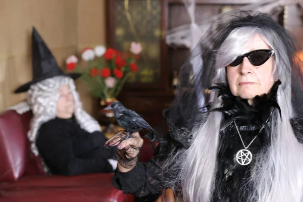 Ritratto Due Donne Mature Costumi Halloween Casa Donna Con Corvo — Foto Stock