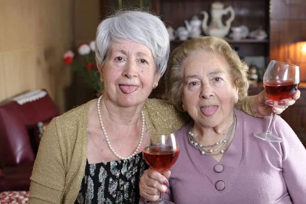 Portret Van Twee Volwassen Vrouwen Met Rode Wijn Brengen Tijd — Stockfoto