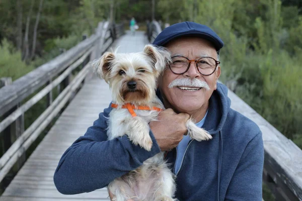 公園の木製の歩道橋の上に犬とハンサムな老人のクローズアップ肖像画 — ストック写真