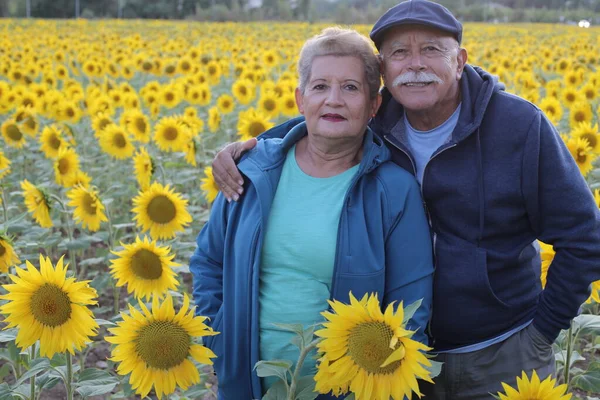 Retrato Hermosa Pareja Ancianos Aire Libre Pie Campo Girasoles —  Fotos de Stock