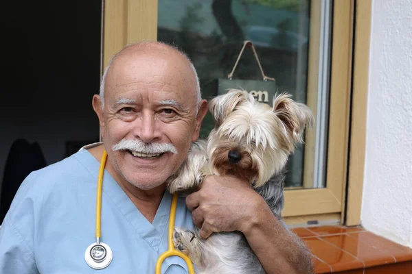 Närbild Porträtt Stilig Senior Veterinär Med Stetoskop Och Liten Hund — Stockfoto