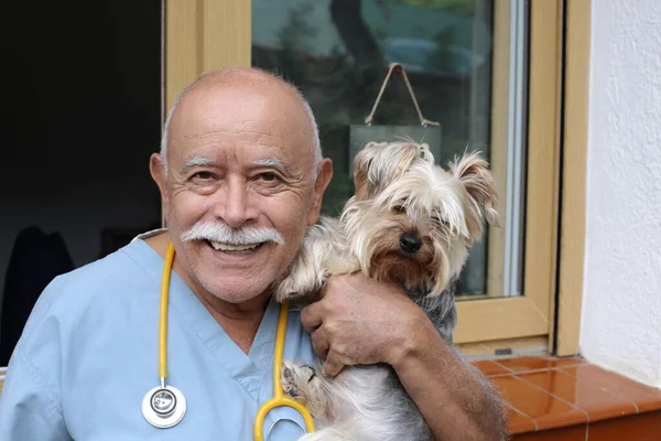 Portrait Gros Plan Beau Vétérinaire Sénior Avec Stéthoscope Petit Chien — Photo