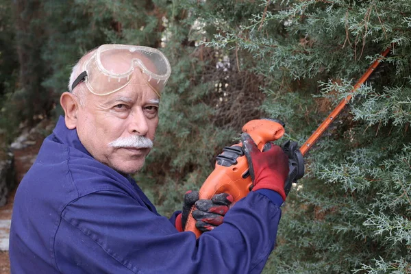Primer Plano Retrato Hermoso Jardinero Senior Con Arbustos Corte Sierra — Foto de Stock