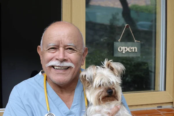 Nahaufnahme Porträt Eines Gut Aussehenden Tierarztes Mit Stethoskop Und Kleinem — Stockfoto