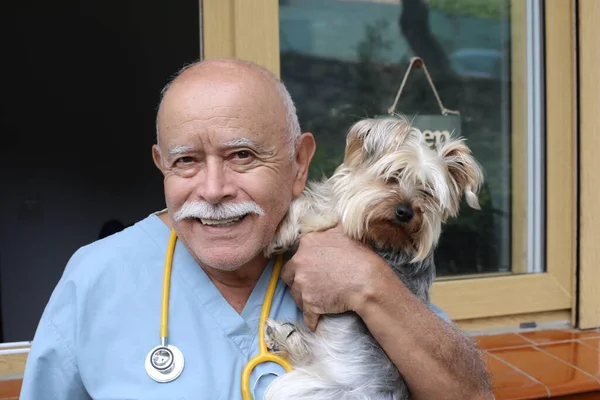 Portrait Gros Plan Beau Vétérinaire Sénior Avec Stéthoscope Petit Chien — Photo