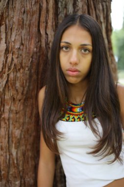 Geleneksel renkli dış görünüşlü Amerikan yerlisi bir kız.