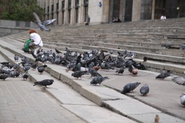 Merdiven sokak kuşlar güvercinler