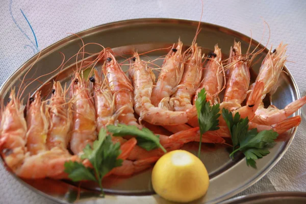 karides deniz ürünleri