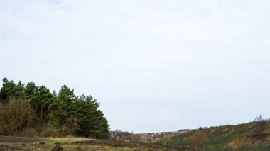 Yük vagonlu tren bir demiryolu köprüsünden geçiyor. İlkbaharda orman ve tarlalarla doğal manzara.