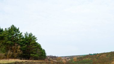 Yük vagonlu tren bir demiryolu köprüsünden geçiyor. İlkbaharda orman ve tarlalarla doğal manzara.