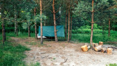 Yaz çam ormanında bir turist kampı. Çadırın altında bir hamak, bir çadır ve ateş için büyük bir kütük..
