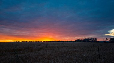 Tarlada yaz günbatımı. Gökyüzü güzel turuncu ile parlıyor ve farklı renklerde parıldıyor. Doğal manzara..