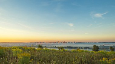 Sabahın köründe, sisli havada Oryol şehrinin manzarası, ön planda çiçek açan otlar, Rus taşra manzarası..