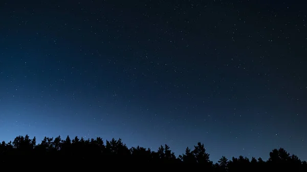 Ormanın siluetinin üstündeki yıldızlı gece gökyüzü. Andromeda Galaksisi, Zürafa takımyıldızları, Cassiopeia.