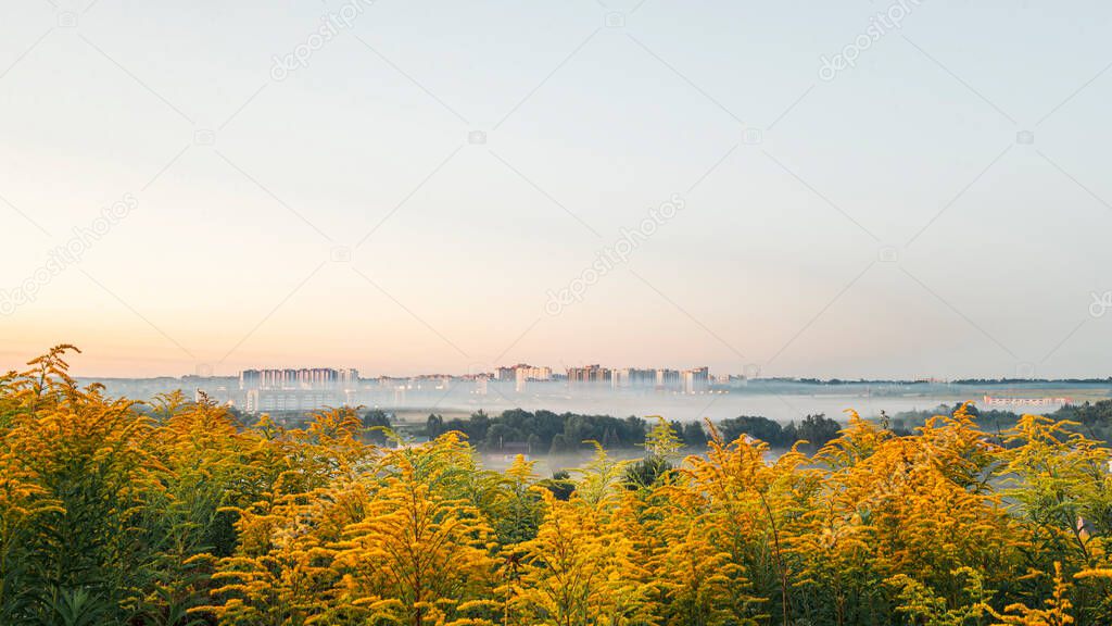 Town Oryol in the morning before dawn in the fog, Solidago canadensis blossoms with bright yellow flowers in the foreground, Russian provincial landscape.