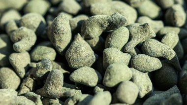 Çin çayı ginseng oolong. Bulanık arkaplanı olan makro resim.