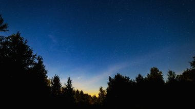 Ormandaki yıldızlı gece gökyüzü, ağaçların siluetleri.