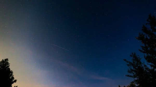 Rastros Satélites Cielo Nocturno Estrellado Bosque Siluetas Árboles —  Fotos de Stock