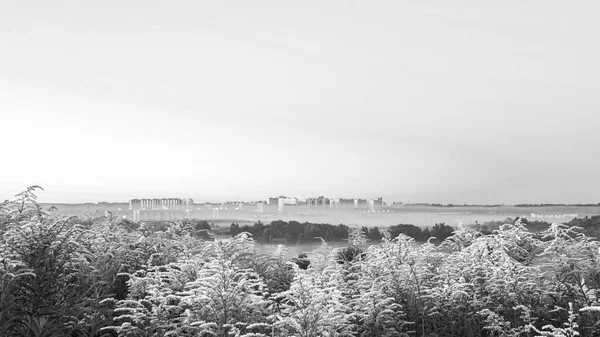 Cidade Oryol de manhã antes do amanhecer no nevoeiro, Solidago canadensis floresce com flores amarelas brilhantes — Fotografia de Stock