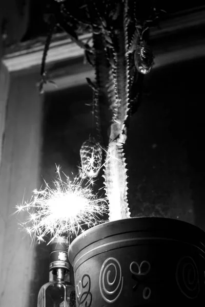 Egy bengáli tűz ég egy kaktusz edényben, évjárat karácsonyi dekorációval felöltözve. — Stock Fotó