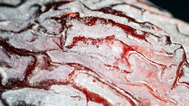 Büyük kurutulmuş tarihler, doku, makro