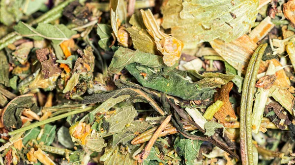 Ramuan kering, daun dan batang, koleksi herbal menenangkan, makro — Stok Foto