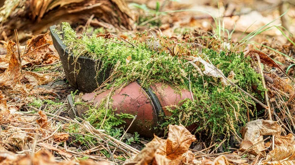 Stará, zapomenutá bota v lese, zarostlá mechem mezi listy a borovými jehličnany — Stock fotografie