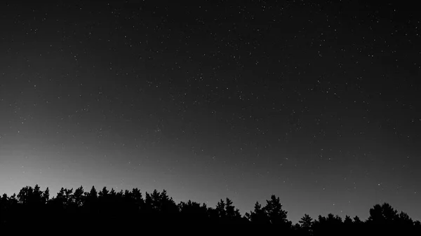 Hvězdná noční obloha nad siluetou lesa. Galaxie Andromeda, souhvězdí žirafy, Cassiopeia — Stock fotografie