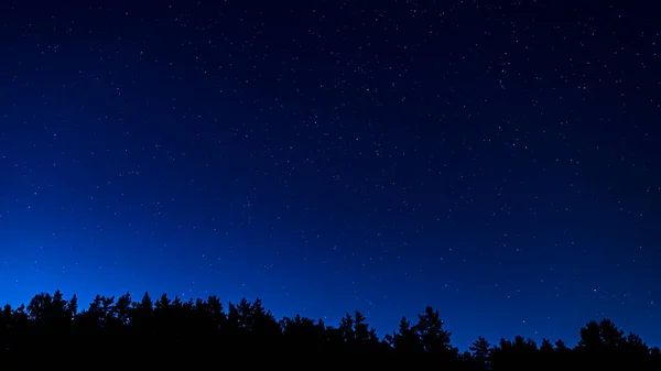 Gwiaździste nocne niebo nad sylwetką lasu. Galaktyka Andromedy, konstelacje Żyrafy, Kasjopeja — Zdjęcie stockowe