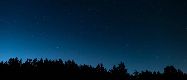 Ormanın siluetinin üstündeki yıldızlı gece gökyüzü. Andromeda Galaksisi, Zürafa takımyıldızları, Cassiopeia