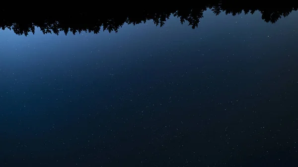 별 이 총 총 한 밤하늘 이 숲의 윤곽 위로 우뚝 솟아 있습니다. 안드로메다 은하, 기린의 별자리, 카시오페아 — 스톡 사진