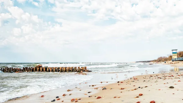 Wybrzeże Morza Bałtyckiego: mewy na piaszczystej plaży i falochron na wzburzonym morzu — Zdjęcie stockowe