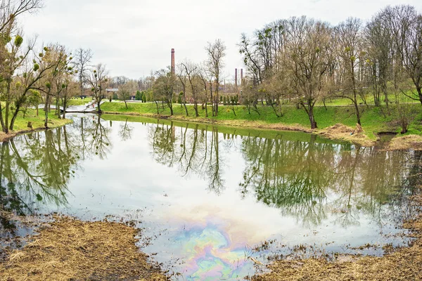 カリニングラードのビクトリーパークの池、ロシア、水の汚染、油性化学多色の痕跡 ストック画像