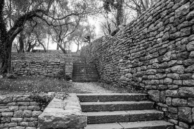 Karadağ'daki zeytin ağaçları ile Park