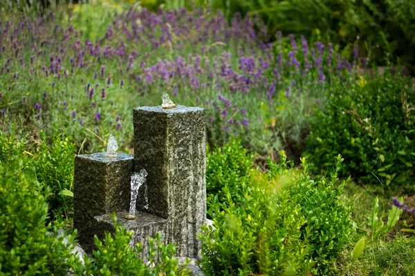 Мини-фонтан и Salvia pratensis — стоковое фото