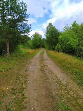 Ufuk çizgisi, yeşil ağaçları, otları ve suyu olan doğal bir manzara. Bulutlu mavi gökyüzü. Fotoğraf duvarı kağıdı..