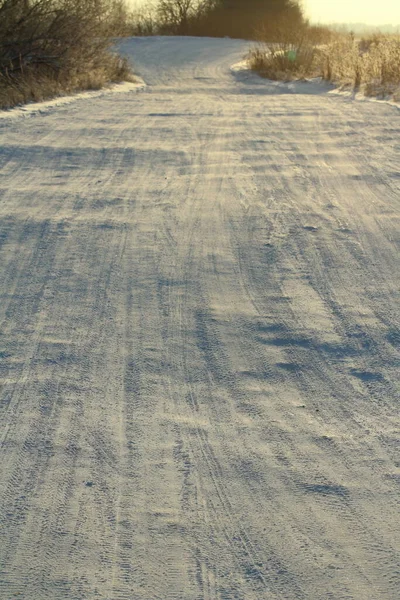 Snötäckt väg som går ut i fjärran med buskar och vilda växter — Stockfoto