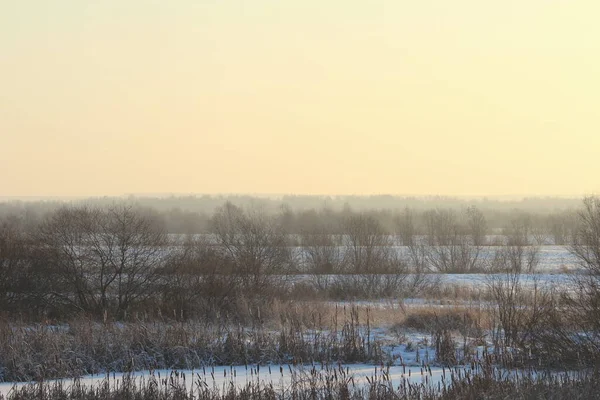 Güneş Tarafından Aydınlatılan Kuyruk Kuyruğu Karla Kaplı Bir Göletin Arka — Stok fotoğraf