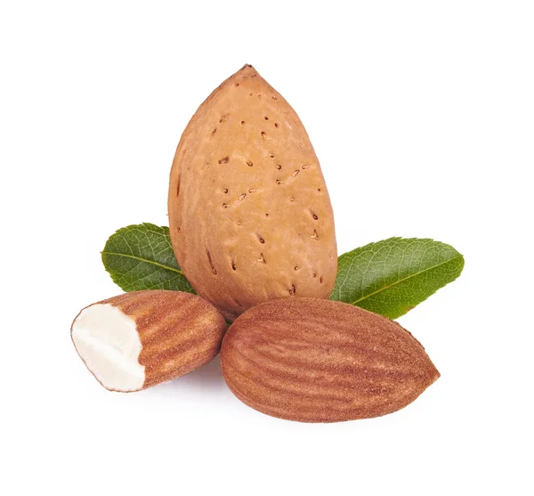 yakın çekim, badem