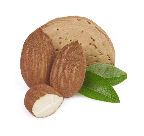 Almonds in close-up — Stock Photo, Image