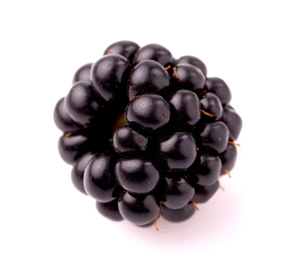 Moras frescas — Foto de Stock