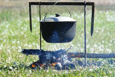 Tarladaki inek. Çiftlik.