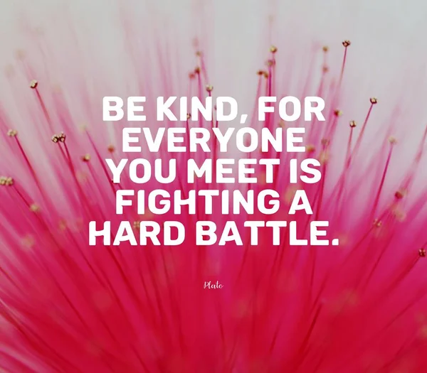Quote by Plato. Be kind, for everyone you meet is fightning a hard battle. — Stock Photo, Image