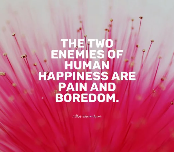 Cita de Arthur Schopenhauer. Los dos enemigos de la felicidad humana son el dolor y el aburrimiento. —  Fotos de Stock