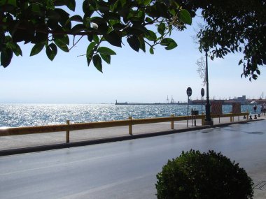 Parlak güneş ışığı altında parıldayan suları gösteren sakin bir kıyı manzarası, uzak bir limana uzanan ağaçlarla kaplı huzurlu bir cadde..