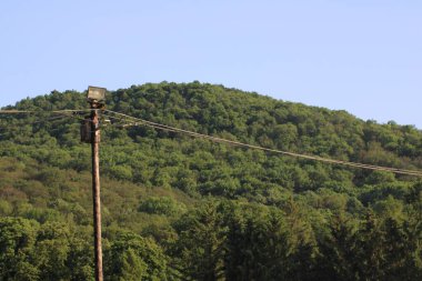 Kabloları yuvarlanan yeşil tepelere ve sık ağaçlara uzanan uzun bir elektrik direği güneşli bir öğleden sonra sakin bir kırsal manzarayı resmediyor..