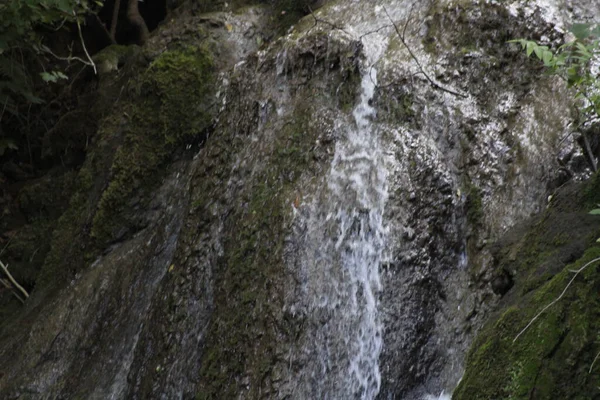 Su, huzurlu bir ormanda canlı yeşilliklerle çevrili engebeli kayaların üzerinden zarif bir şekilde akar. Güneş ışığı yaprakların arasından süzülüp rahatlatıcı bir atmosfer yaratır..