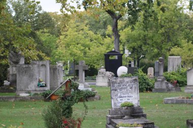 Mezarlıkta canlı ağaçlar arasında sergilenen çeşitli mezar taşları, ılık bir sonbahar gününde sükunet ve yansımayı çağrıştırıyor. Ziyaretçiler huzurlu manzaranın her tarafından görülebilir..