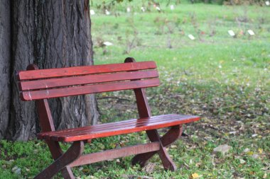 Kırmızı ahşap bank, büyük bir ağacın altına kurulur. Parkta yere dökülen yaprakların yere saçıldığı sakin bir nokta yaratır. Rahatlamaya davetiye çıkarır..